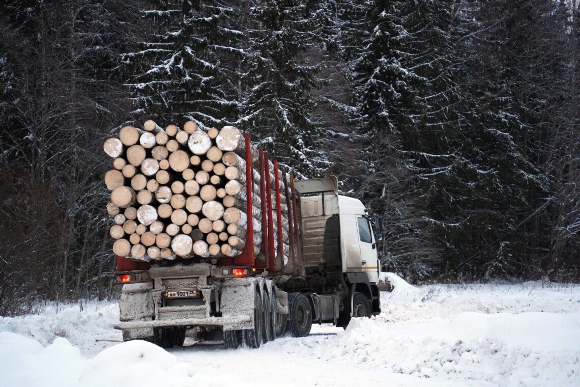 Gain insights into the legal consequences and liability implications of a log truck accident through our informative website.
